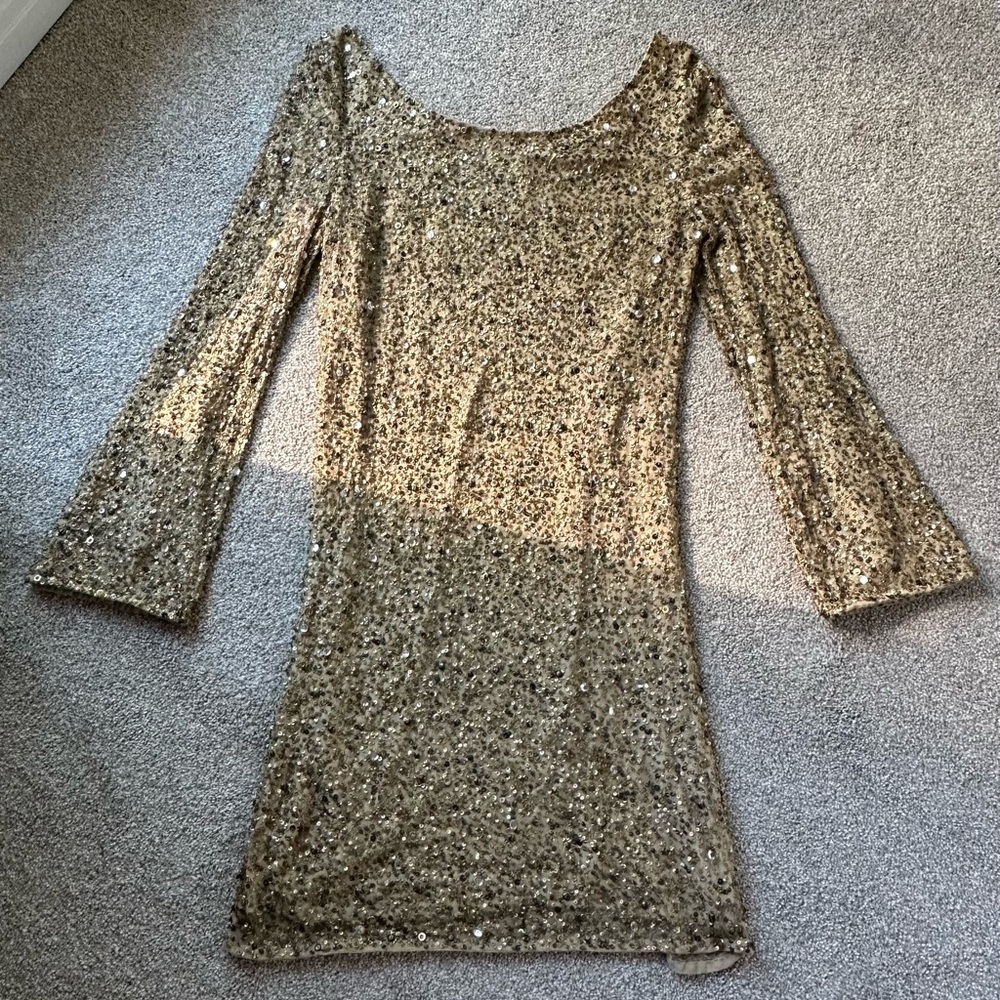 Elijah Silk with Glass & Gold Metal Bead Sequins, Long Sleeve Mini Dress, Size M